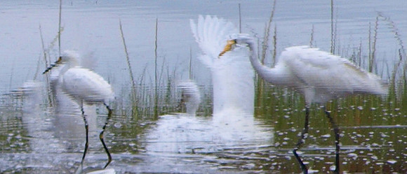 nice reflection