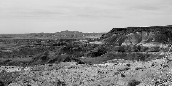 out west b&w