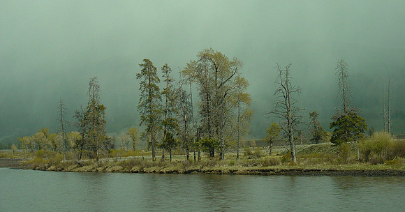 wyoming creek