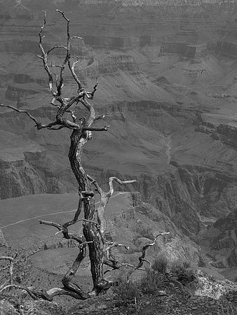 lonely rim b&w
