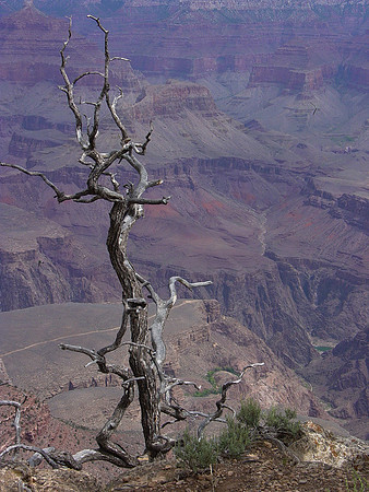 lonely rim grand canyon