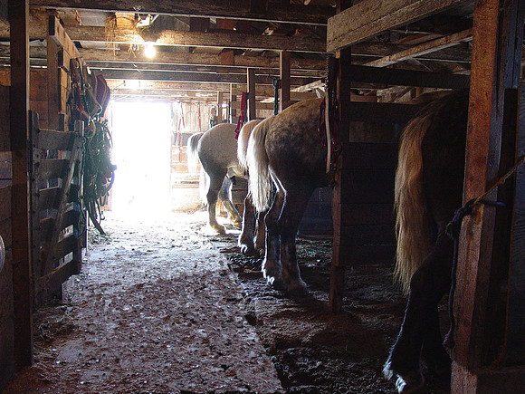 jims barn