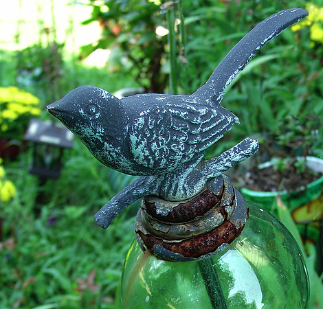 in her garden