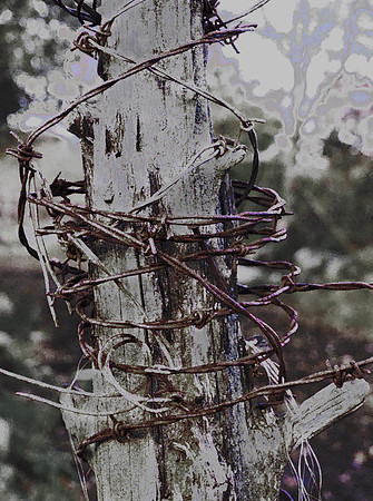 wire study V