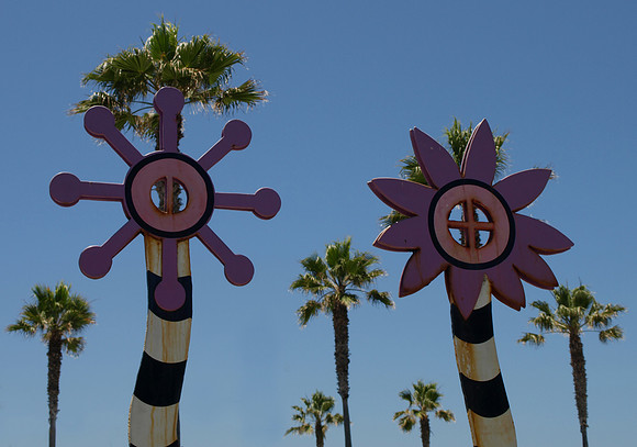 sun palms at the beach