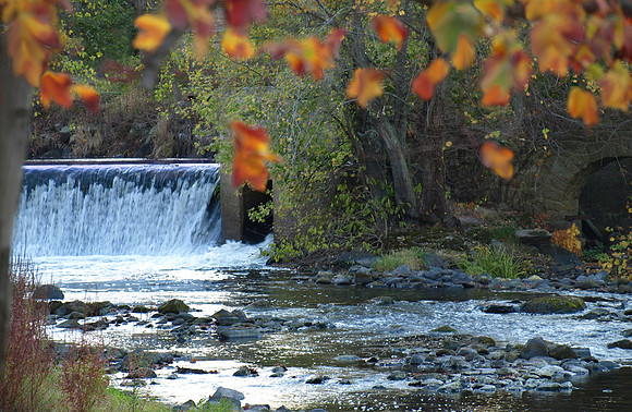 fish ladder ashaway ri